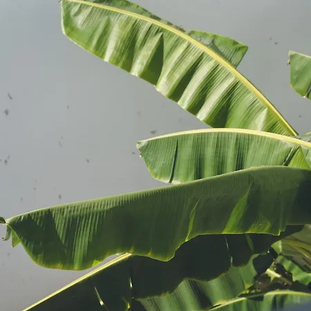 A Dream Facing The Sea Private Pool Feriehus Bodrum